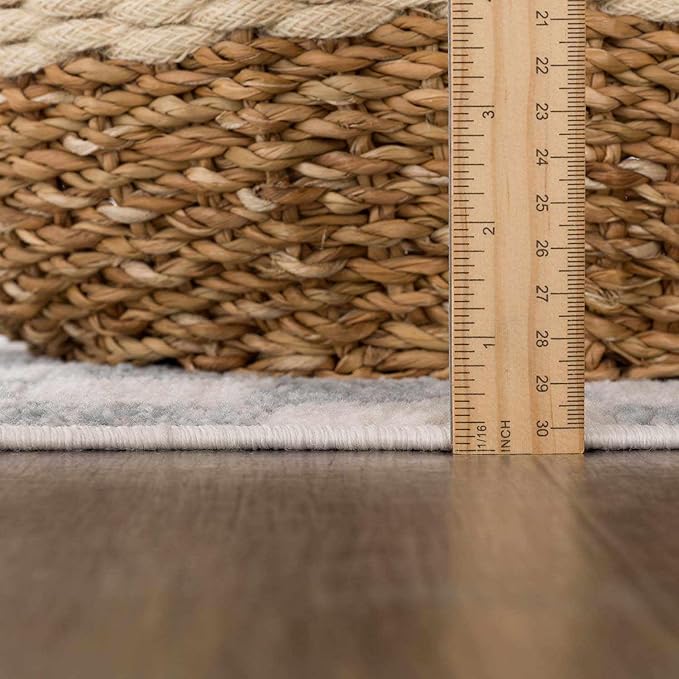 Hauteloom Benjy Hallway, Kitchen Runner Rug - Contemporary - Cream, Silver Blue - 2'7'' x 7'3''