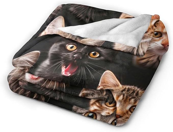 Funny Cats Throw Blanket - Soft, Warm, Cozy Fleece for Couch, Sofa, Bed - 50"x40" for Girls, Boys, Women, Men, Kids, Adults