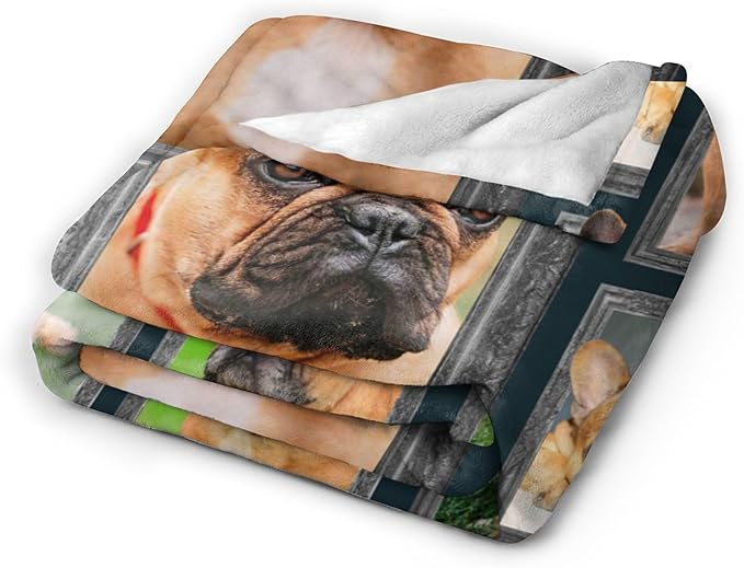 French Bulldog Throw Blanket - Cute Dog Gifts and Decor for Girls, Women, Kids, Adults - Soft Warm Cozy Fleece for Couch, Sofa, Bed - 50"x40"