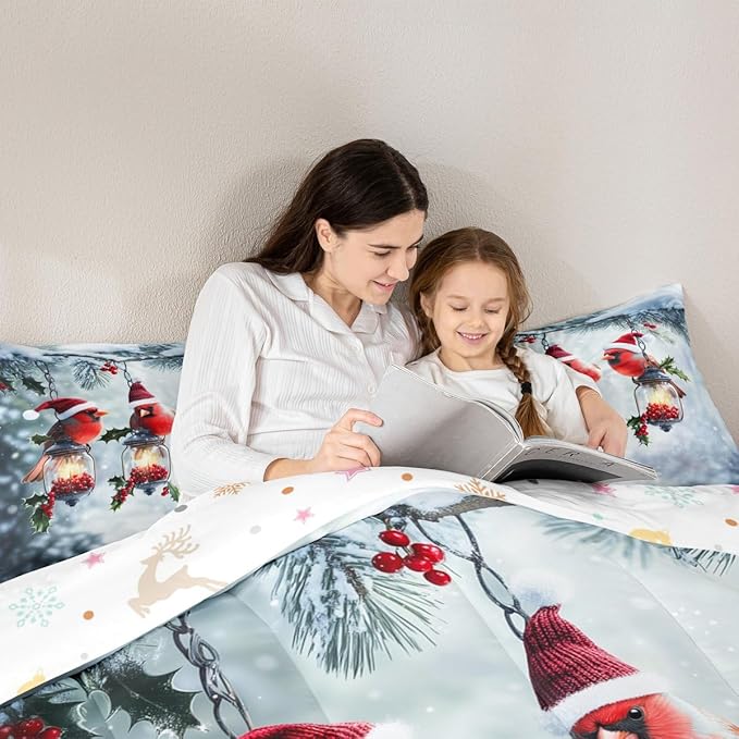 Feelyou Merry Christmas Comforter Set All Season Robin Bird Bedding Set with 2 Pillow Cases Snowflake Microfiber Kids King Bedclothes Winter Bedroom Decor Duvet Quilt Breathable Soft Lightweight