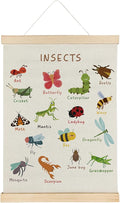 SereneHanctuary Insect Animal Wall Art,Animal Nursery Wall Decor, Boho Insects Educational Poster Hanger Frame for Toddler Kids Bedroom Nursery Playroom Classroom Decor,12x16 Inches