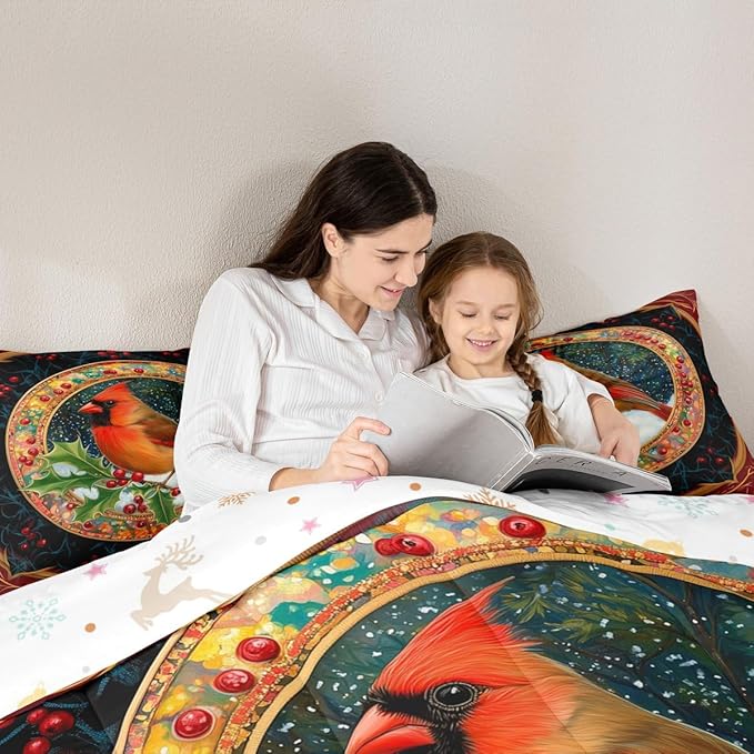 Feelyou Merry Christmas Comforter Set King Size Robin Bird Bedding Set for Kids Boys Girls Snowflake Duvet Quilt Winter Bedroom Decor Microfiber 3 Pcs with 2 Pillow Cases