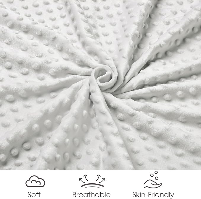 david's kids Micro Fleece Minky Baby Blanket for Boys Girls with Double Layer and Soothing Raised Dots, Breathable and Soft Lightweight Receiving Blanket for Newborns, 30x40 Inches, Rainbow