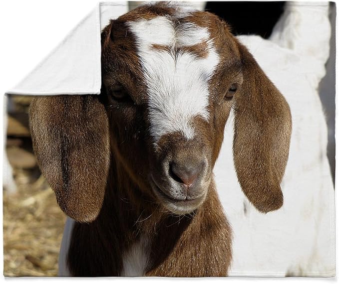 CafePress Cute Kid Goat Throw Blanket Super Soft Fleece Plush Throw Blanket, 60"x50"