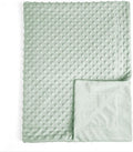 david's kids Micro Fleece Minky Baby Throw Blanket for Girls with Double Layer and Soothing Raised Dots, 50x60 Inches Breathable and Soft Lightweight Receiving Blanket for Newborns Sage Green