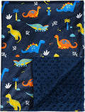 david's kids Micro Fleece Minky Baby Blanket for Boys with Double Layer and Soothing Raised Dots, Breathable and Soft Lightweight Receiving Blanket for Newborns, 40x50 Inches, Dinosaur