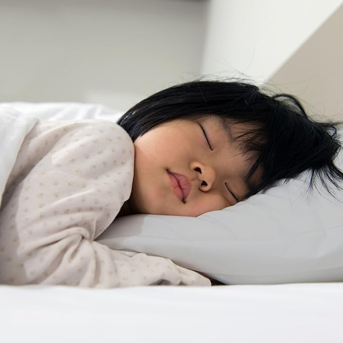 Little Sleepy Head Youth Pillow with Pillowcase 16x22, Soft Jumbo Toddler Pillow & Hypoallergenic Pillowcase - Best Kids Pillows for Sleeping, Perfect Kids Travel Pillow (Gray)