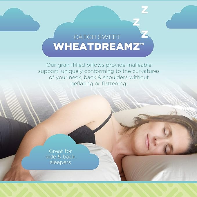 Bean Products 20" x 26" Standard Bed Pillow for Sleeping – Organic Buckwheat Fill with Organic Cotton Fabric, Soft Head Pillow – Eco-Friendly, Breathable, and Durable Sleep Aid, Made in The USA
