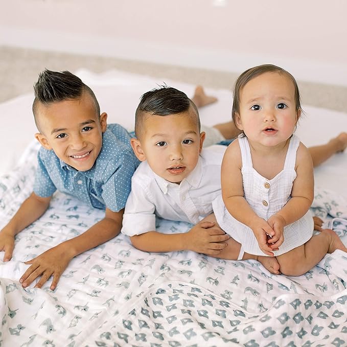 aden + anais Boutique Dream Blanket, Boutique Muslin Baby Blankets, Ideal Newborn Nursery & Crib Blanket, Unisex Toddler & Infant Bedding, Shower & Registry Gift, Now + Zen-Koalas + Medallion