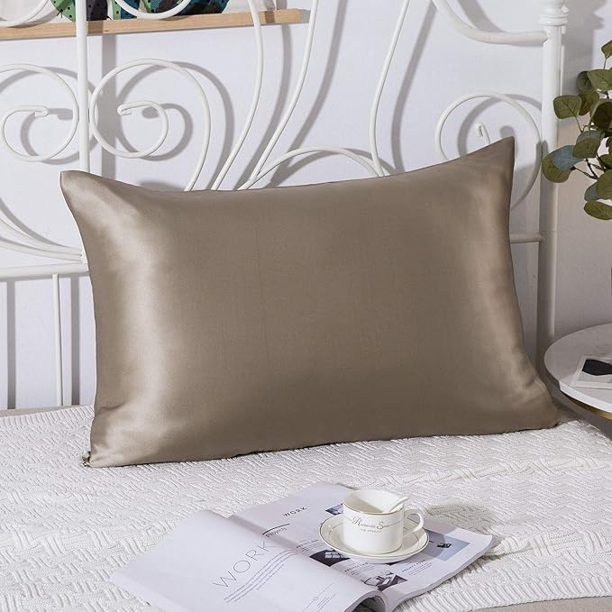 SLPBABY 100% Natural Pure Silk Pillowcase for Hair and Skin, Both Side 19 Momme Silk, Luxury Smooth Satin Pillowcase Cover with Hidden Zipper (Standard(20''x26''), Taupe)