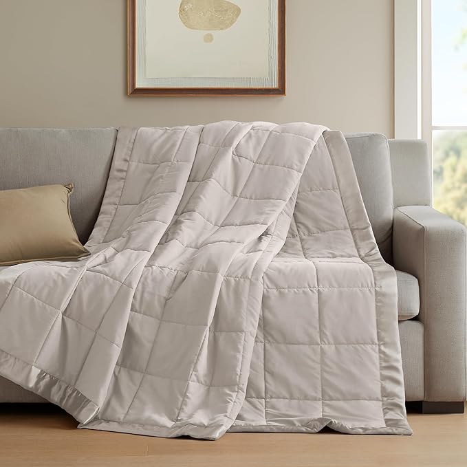 Madison Park Windom Down Alternative Blanket, Premium 3M Scotchgard Moisture Wicking Treatment, Lightweight and Soft Bed Cover For All Season, Satin Trim, Grey Twin