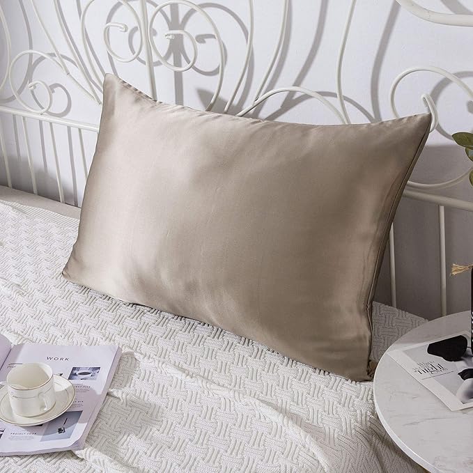 SLPBABY 100% Natural Pure Silk Pillowcase for Hair and Skin, Both Side 19 Momme Silk, Luxury Smooth Satin Pillowcase Cover with Hidden Zipper (Queen, Taupe)