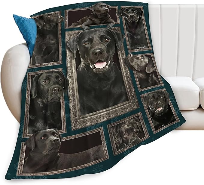 Labrador Retriever Dog Blanket - Cute Throw for Girls, Women, Kids, Adults - Soft Warm Cozy Fleece for Couch, Sofa, Bed - 80"x60" - Gifts and Decor