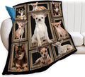 Cute Chihuahua Blanket for Girls Boys Funny Dog Throw Blankets Soft Cozy Warm Fuzzy Fleece Pet Bedding Flannel Throws Stuffed Animal Gifts for Chihuahua Lovers Kids Men Women Bedroom Decor 80"x60"