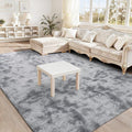 BENRON Fluffy Rugs for Living Room 5x8 Tie-dye Grey, Washable Large Area Rugs for Bedroom Dining Table Office Kids Nursery Room, Washable Indoor Floor Carpets