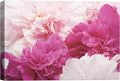 SIGNWIN Canvas Wall Art Bouquet of Blush Pink, Red and White Peony Floral Flower Photography Modern Art Romantics Closeup Relax/Calm Duotone for Living Room, Bedroom, Office - 12x18 inches