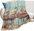 Flamingo Blanket Flamingo Gifts for Girls Boys Woman Kids Lover Ocean Coastal Throw Blankets Soft Blanket Warm Fleece Flannel Plush Blankets for Bed Sofa Couch 50"x60"