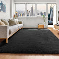 ONASAR Black Area Rugs for Bedroom Living Room, Fluffy Fuzzy Shaggy 4x6 Bedside Rug, Washable Soft Plush Modern Indoor Floor Carpet for Nursery Kids Girls Boys Teen Dorm Home Office Decor Aesthetic