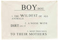 Boy the Wildest of All Animals-Rectangular Banner Flag Poster Wall Decor for Baby Boy Kids-Nursery Above Crib Bedroom Playroom Door Wall Decorations-Boy Present-Birthday Baby,Shower Christmas Gift