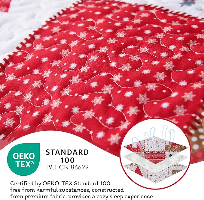 JSD 2 Pcs Kids Christmas Quilt Set Twin Size, Patchwork Christmas Bedding, Soft Microfiber Bedspread Coverlet Holiday Quilted Blanket