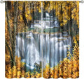 Waterfall Blackout Curtain, Autumn Season Trees Leaves Natural Landscape Window Drapes, for Bedroom Living Room 52" W X 84" L