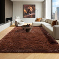 ONASAR Brown 6x9 Area Rugs for Living Room Bedroom, Washable Large Fluffy Bedside Throw Rug, Soft Plush Shaggy Fuzzy Floor Carpet for Nursery Kids Girls Boys Teen Dorm Home Office Decor Aesthetic