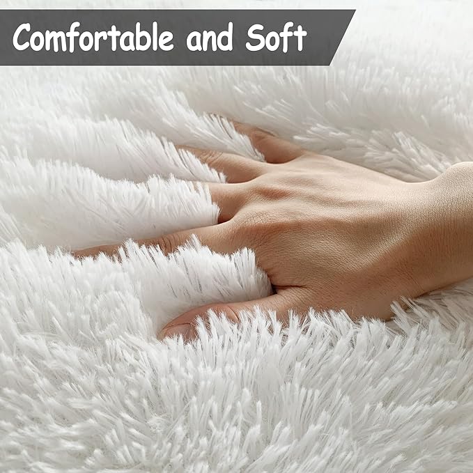 White Fluffy Rug for Bedroom Living Room, 2x3 Small White Area Rug Furry Throw Bedside Rug for Dorm, Non-Slip Entryway Indoor Front Door Mat, Soft Plush Shag Carpet Washable for Nursery Kids
