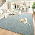 Chicrug 6x9 Minimalist Washable Area Rugs for Bedroom Living Room Classroom, Modern Soft Memory Foam Rug for Kids Nursery, Low Plie Indoor Carpet for Dorm Dining Office Bedside Room Decor, Grey