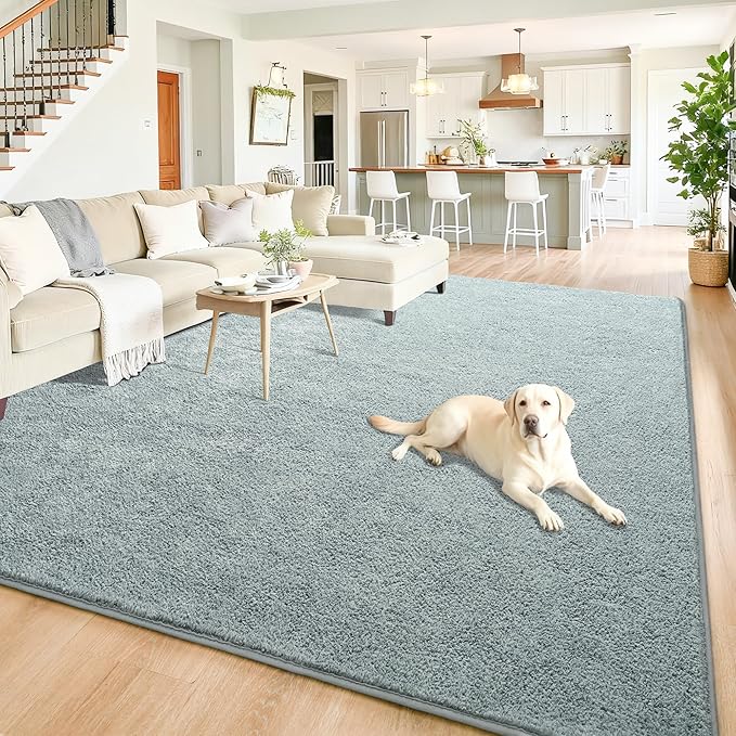 Chicrug 5x7 Minimalist Washable Area Rugs for Bedroom Living Room Classroom, Modern Soft Memory Foam Rug for Kids Nursery, Low Plie Indoor Carpet for Dorm Dining Office Bedside Room Decor, Grey