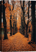 SIGNWIN Canvas Wall Art Orange Autumn Garden Path Nature Forest Photography Realism Rustic Scenic Dramatic Multicolor Cool for Living Room - 24"x36" inches