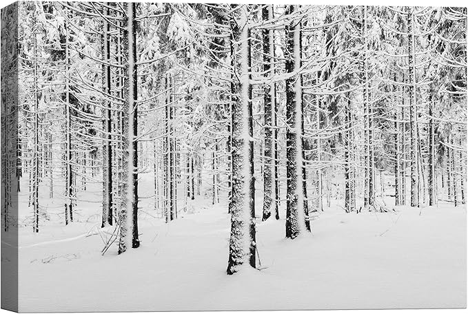 SIGNWIN Canvas Wall Art Winter Snow Covered Birch Trees on The Hillside Nature Forest Modern Art Traditional Scenic Dramatic Black and White for Living Room, Bedroom, Office - 32x48 inches