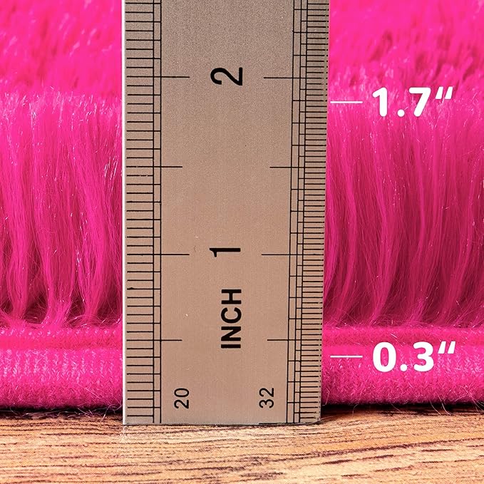 Fluffy Rug Stain Resistant 6x9 Feet, Hot Pink Throw Rugs Bedroom Nursery Rug Furry Throw Carpets for Teen Girls