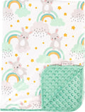 Top Tots Deluxe Minky Baby Blanket - Rabbits on Rainbows, 40 x 29 Inch Mint