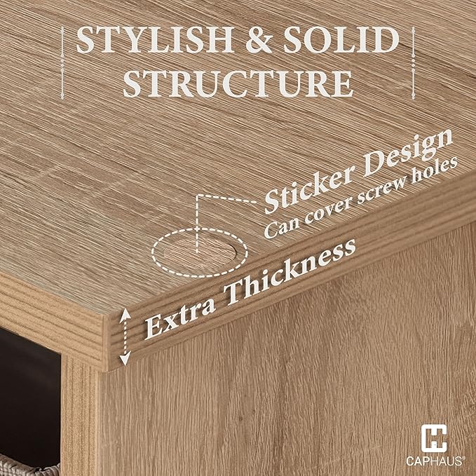 CAPHAUS 11-Inch Cube Storage Organizer Shelf, Home Storage Shelf Divider w/Back, 9-Cube Storage Bookcase, Natural Oak