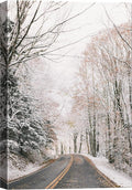 SIGNWIN Canvas Wall Art Woodland Nursery Decor Winter Trees Cool Dramatic Forest Multicolor Nature Photography Rustic - 16x24 inches