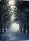 SIGNWIN Canvas Wall Art Woodland Nursery Decor Winter Trees Cool Dramatic Forest Multicolor Nature Photography Rustic - 32x48 inches