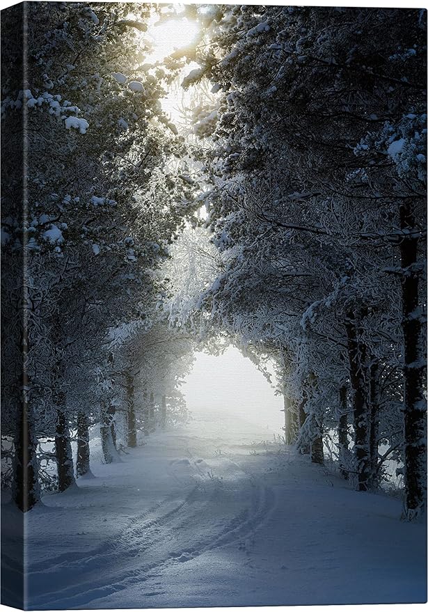 SIGNWIN Canvas Wall Art Woodland Nursery Decor Winter Trees Cool Dramatic Forest Multicolor Nature Photography Rustic - 32x48 inches