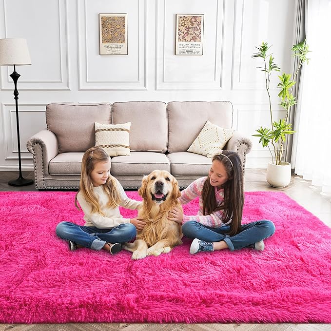 Fluffy Rug Stain Resistant 6x9 Feet, Hot Pink Throw Rugs Bedroom Nursery Rug Furry Throw Carpets for Teen Girls