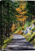 SIGNWIN Canvas Wall Art Green Forest Dramatic Forest Landscape Living Room Multicolor Photography Rustic - 32x48 inches