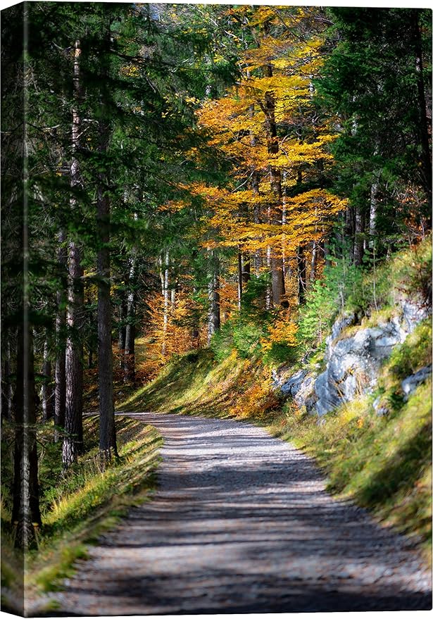 SIGNWIN Canvas Wall Art Green Forest Path Nature Forest Photography Realism Rustic Scenic Dramatic Multicolor Cool for Living Room - 16"x24" inches