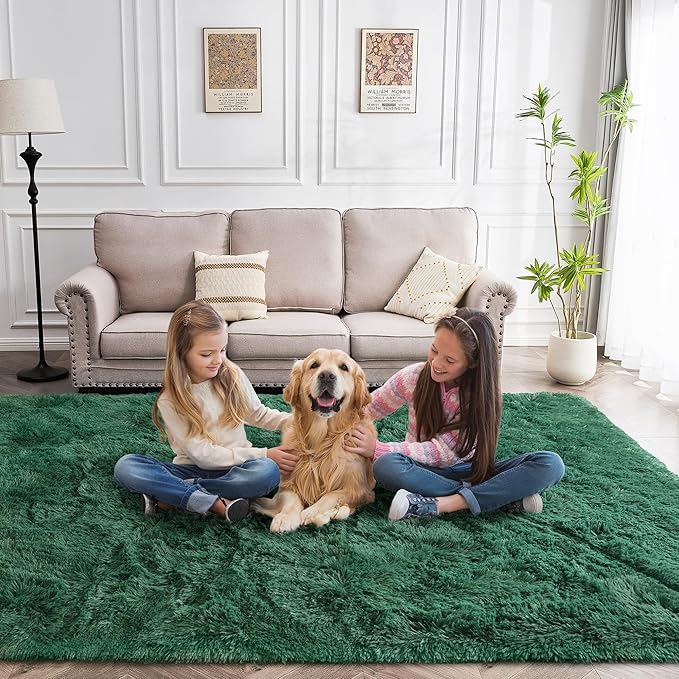 Fluffy Rug Stain Resistant 4x6 Feet, Dark Green Area Rug for Bedroom, Super Soft Shaggy Rugs Room Carpet Floor Rug