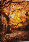 SIGNWIN Canvas Print Wall Art Autumn Red Leaf Oak Tree Forest Nature Wilderness Photography Modern Art Farmhouse/Country Landscape Colorful Multicolor Ultra for Living Room, Bedroom, Office - 12x18