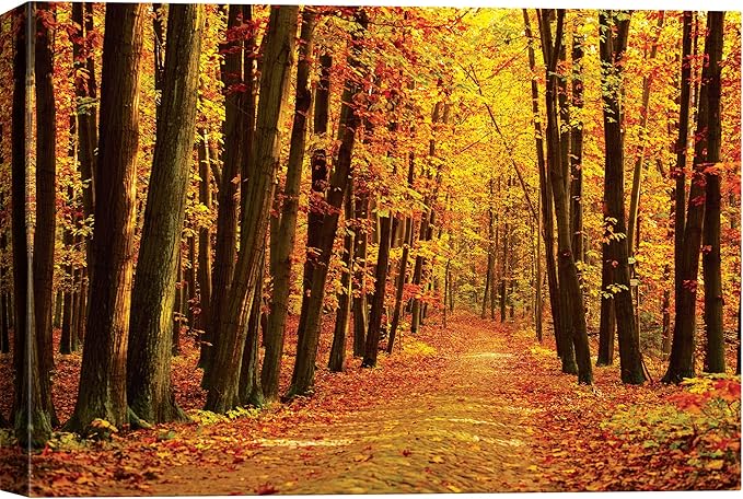 SIGNWIN Canvas Print Wall Art Walk Through Red Yellow Leaf Autumn Forest Nature Wilderness Photography Modern Art Rustic Landscape Relax/Calm Multicolor for Living Room, Bedroom, Office - 16x24