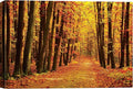 SIGNWIN Canvas Print Wall Art Walk Through Red Yellow Leaf Autumn Forest Nature Wilderness Photography Modern Art Rustic Landscape Relax/Calm Multicolor for Living Room, Bedroom, Office - 16x24