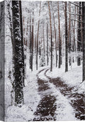 SIGNWIN Canvas Wall Art Winter Trees Cool Dramatic Forest Multicolor Nature Photography Rustic - 12x18 inches