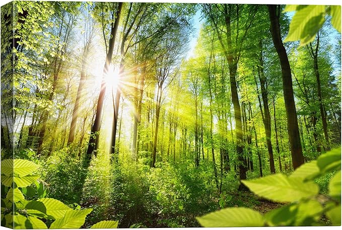 SIGNWIN-Canvas Wall Art-Sunshine in The Forest -Canvas Prints Home Artwork Decoration for Living Room,Bedroom - 16x24 inches