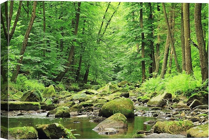 SIGNWIN-Canvas Wall Art-Sunshine in The Forest -Canvas Prints Home Artwork Decoration for Living Room,Bedroom - 12x18 inches