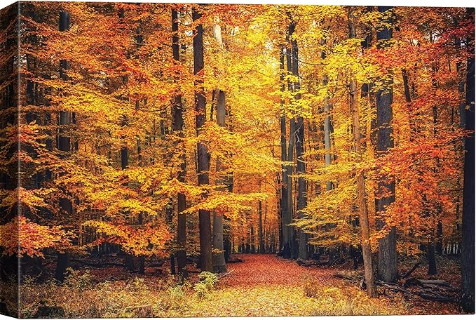 SIGNWIN Canvas Print Wall Art Golden Red Autumn Tree Leaf Forest Trail Nature Wilderness Photography Modern Art Rustic Landscape Relax/Calm Multicolor for Living Room, Bedroom, Office - 16x24
